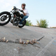 Illustration for article titled Racing Motorcycles On Detroits Lost Velodrome